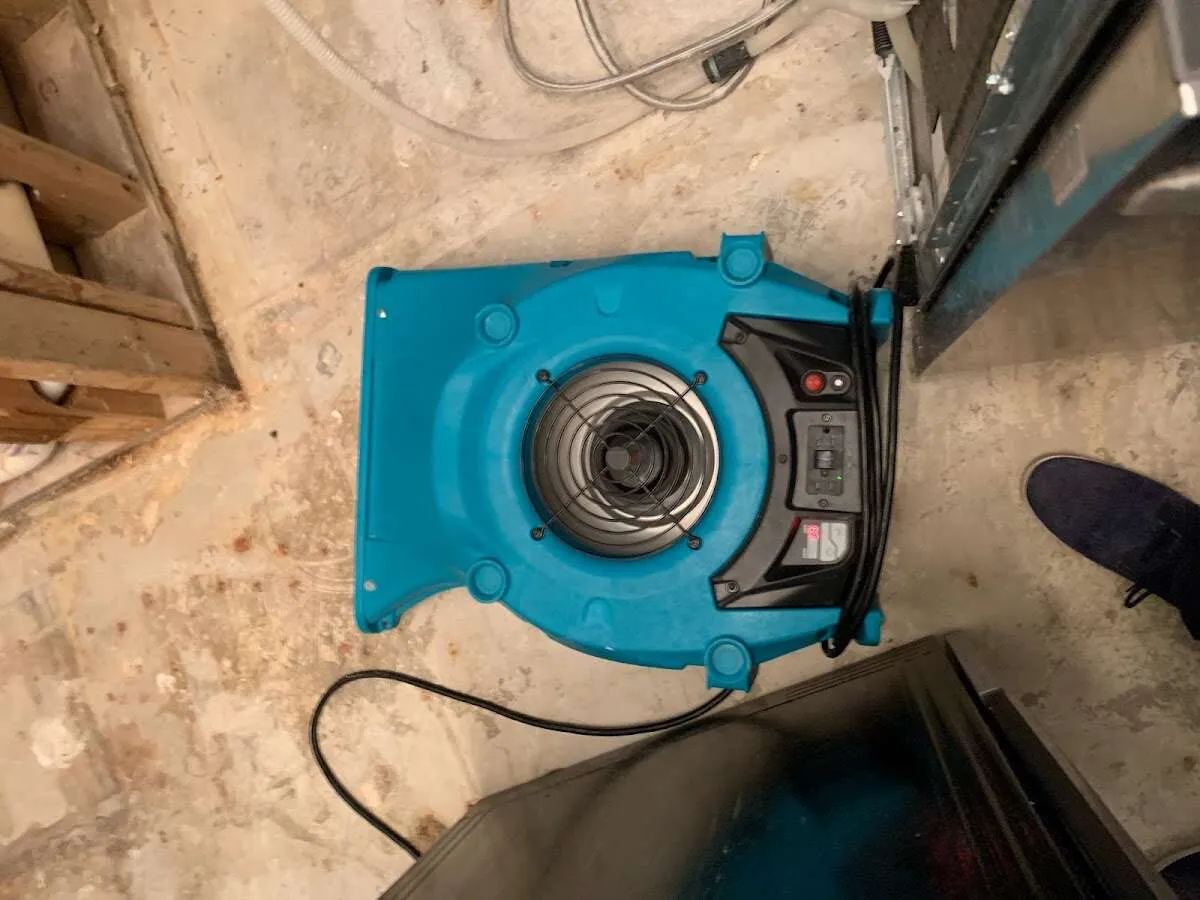 Air mover drying equipment for Mold Remediation & Removal in Adams